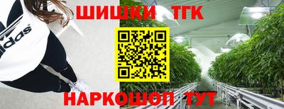 МДПВ Гатчина