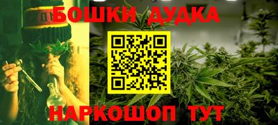МДПВ Гатчина