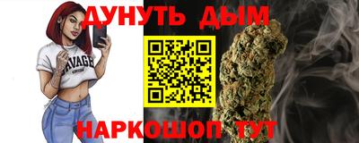 МДПВ Гатчина