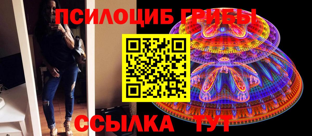 Псилоцибиновые грибы Psilocybe Муравленко
